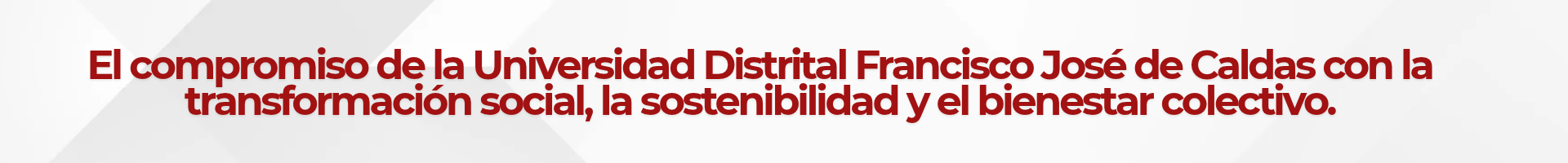 imagen decorativa 